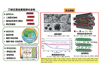 二维硫化物负极制备及其电化学性能