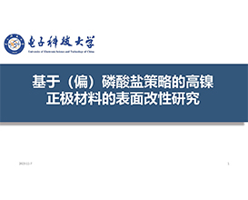 基于（偏）磷酸盐策略的高镍正极材料的表面改性研究